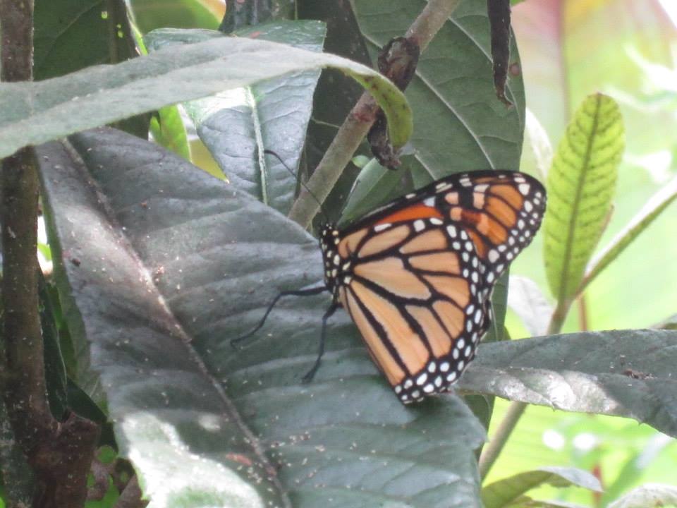 Spirituality of Grief