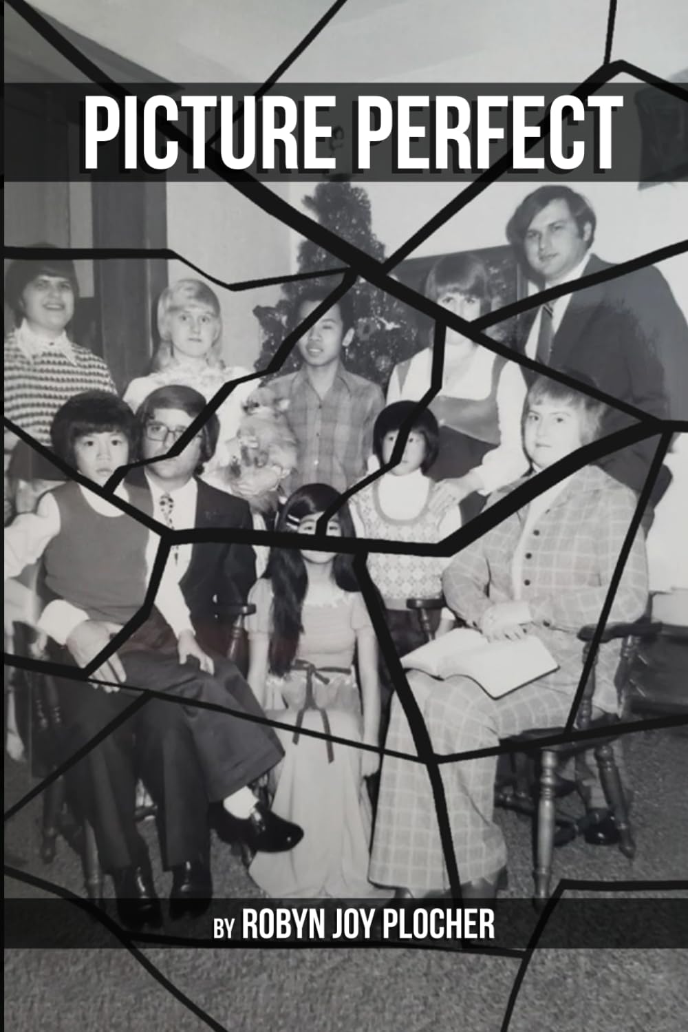 cover of Picture Perfect